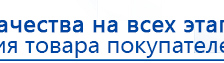 СКЭНАР-1-НТ (исполнение 01 VO) Скэнар Мастер купить в Оренбурге, Аппараты Скэнар купить в Оренбурге, Скэнар официальный сайт - denasvertebra.ru